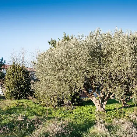 Via Della Marina 3 Bed & Breakfast